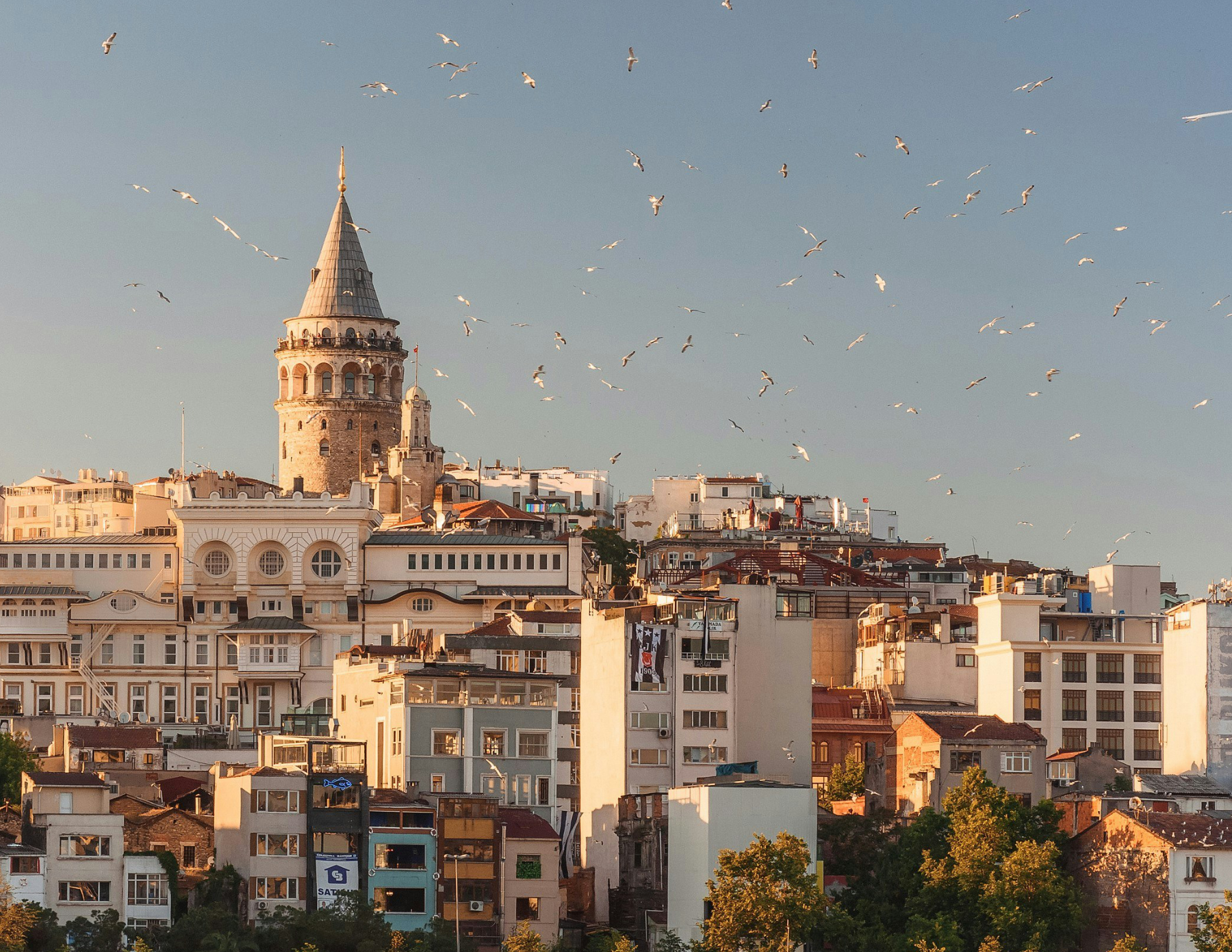 mtl moving tuerkei 3